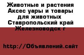 Животные и растения Аксесcуары и товары для животных. Ставропольский край,Железноводск г.